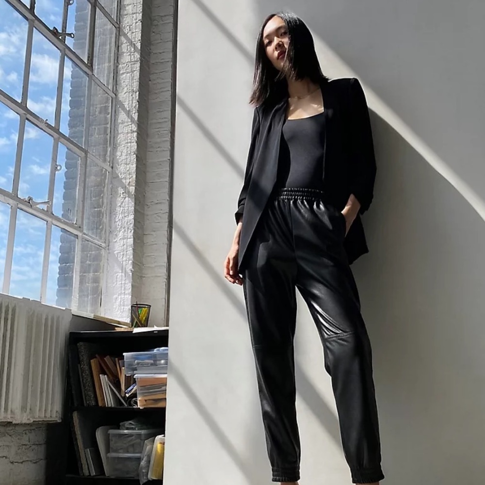 Aritzia Babaton Zedel Pant
